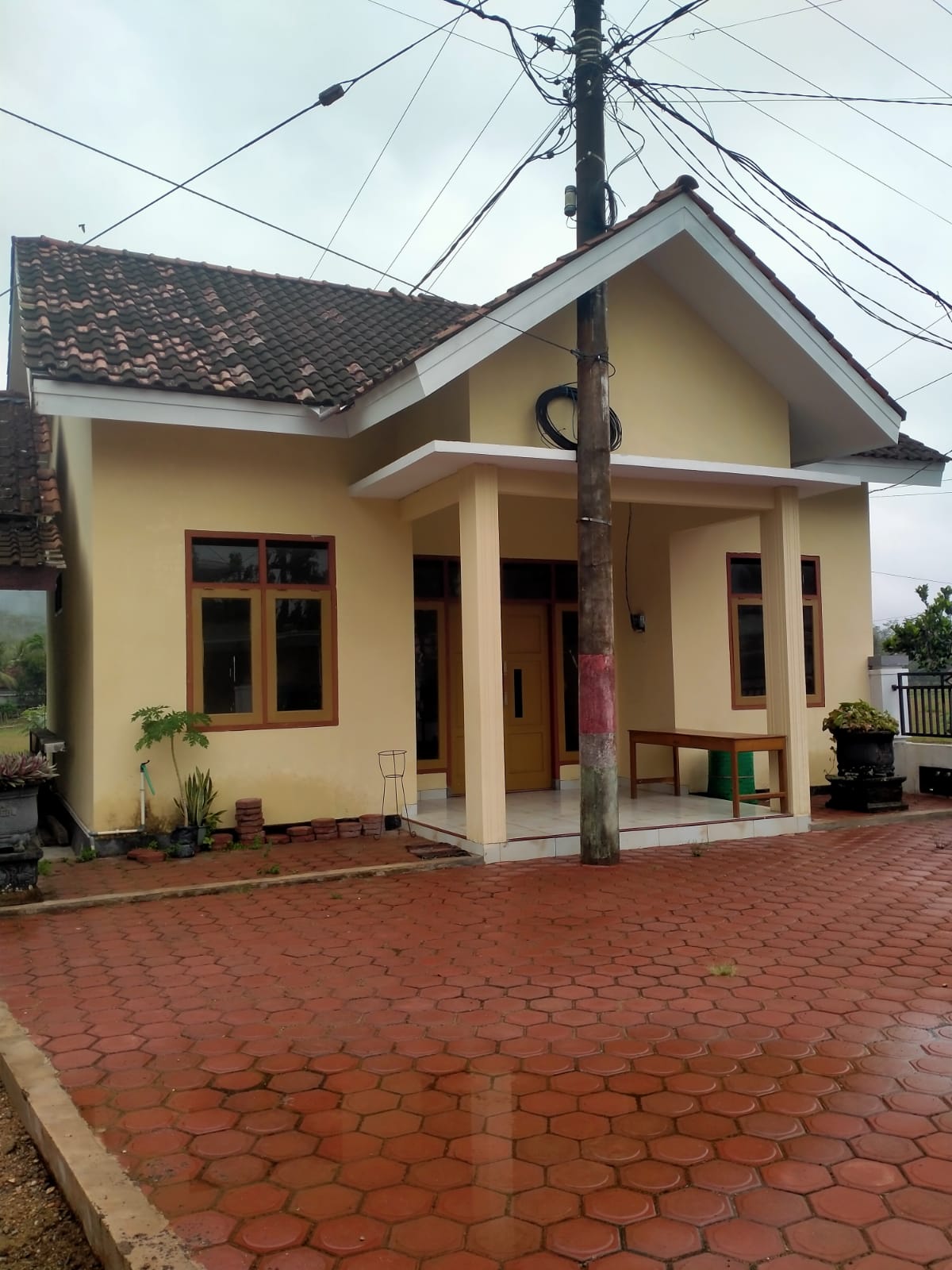 Polindesa